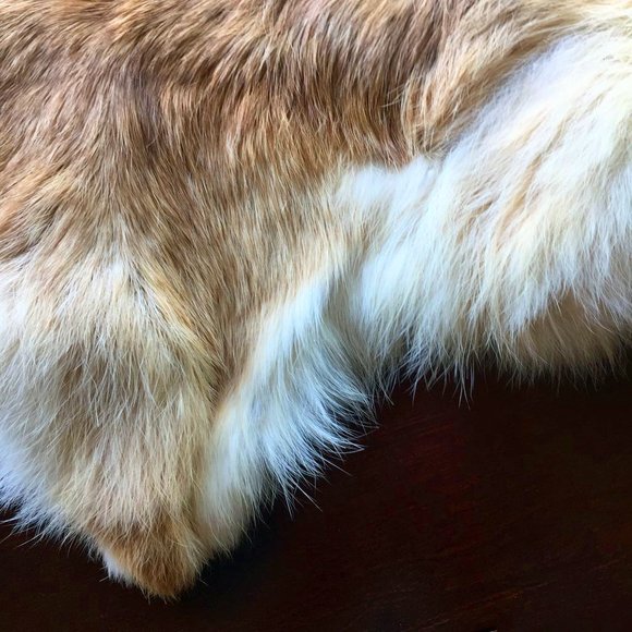 Other - Genuine honey blonde rabbit fur pelt